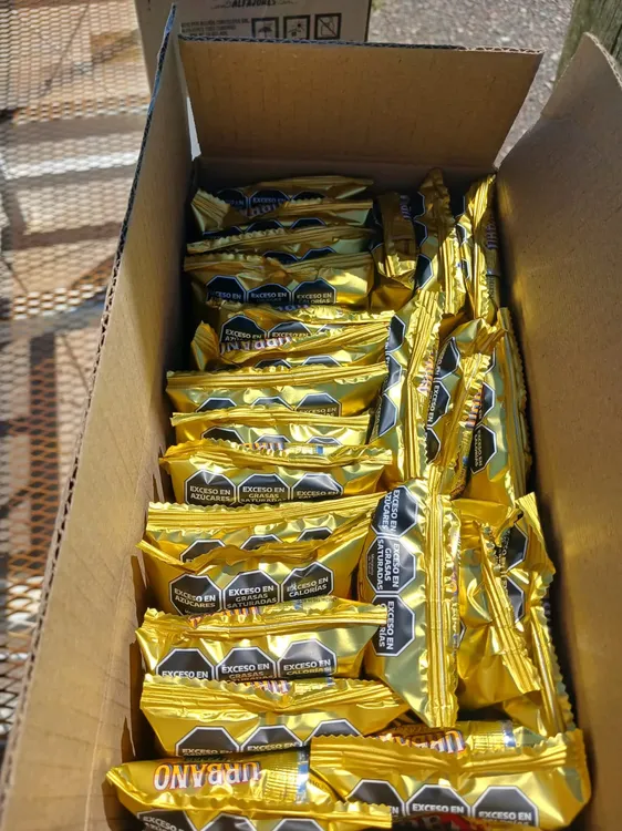 WhatsApp Image 2026-02-04 at 17.55.50 (1)