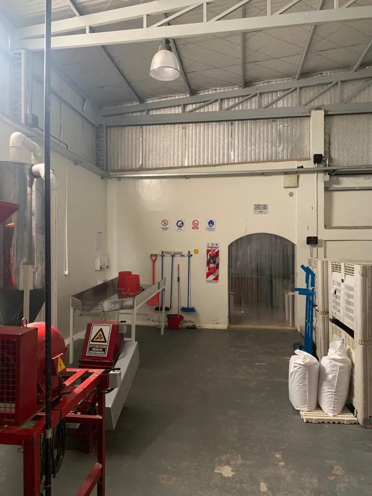 WhatsApp Image 2024-07-31 at 08.10.26