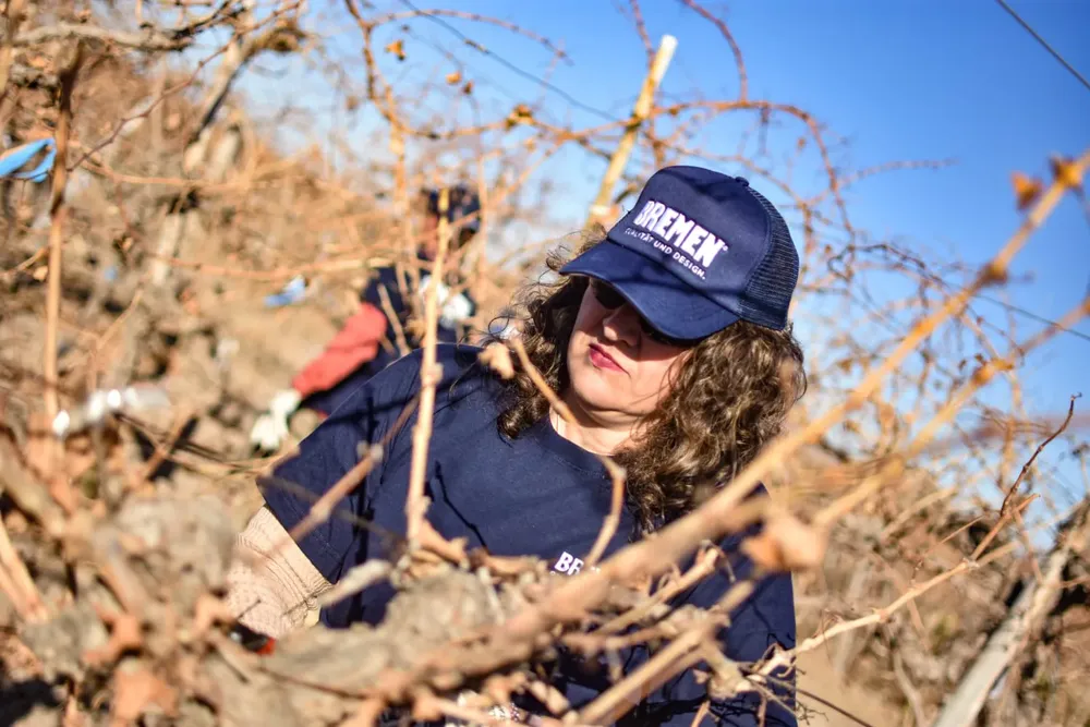 WhatsApp Image 2024-07-04 at 12.56.39