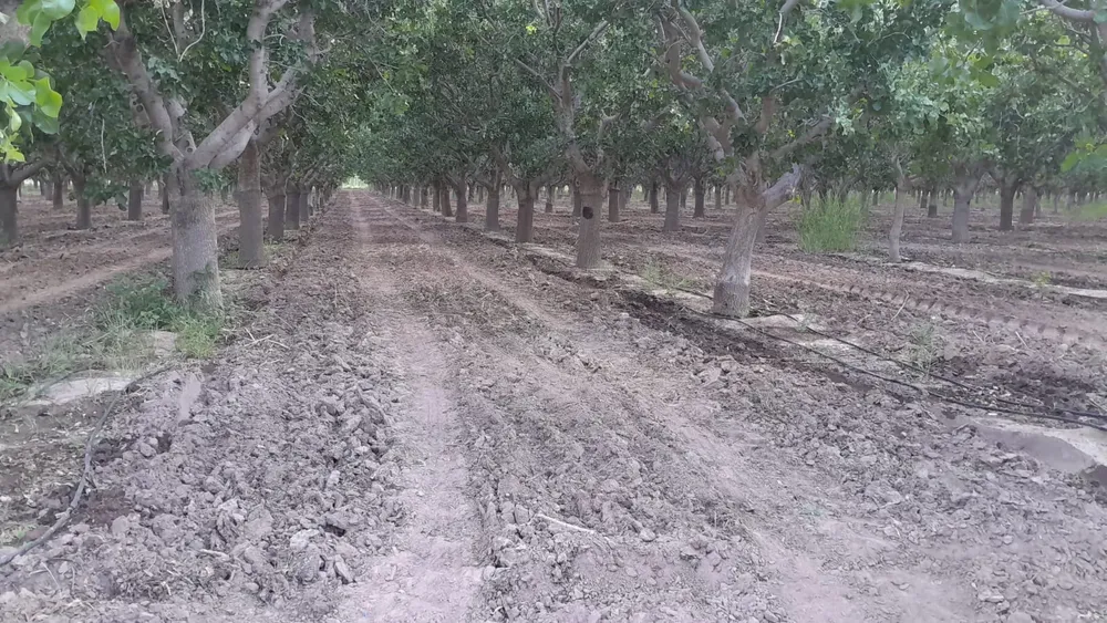 WhatsApp Image 2025-11-14 at 16.56.51