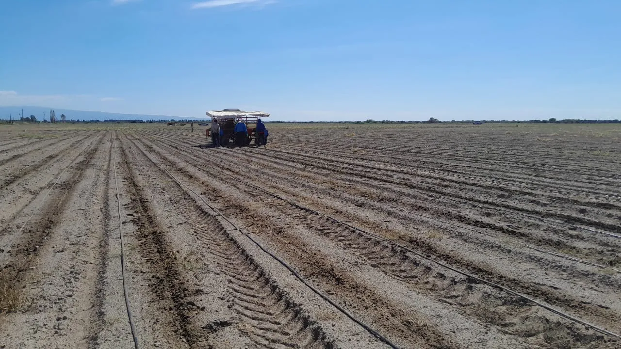 WhatsApp Image 2025-11-14 at 16.57.25 (1)