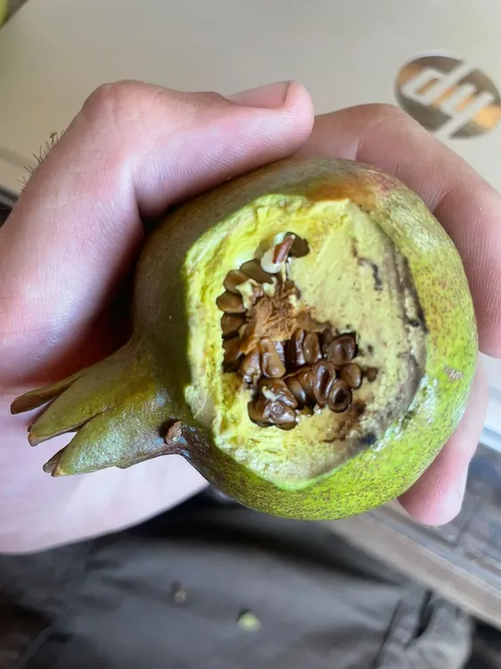 WhatsApp Image 2025-01-22 at 21.38.05