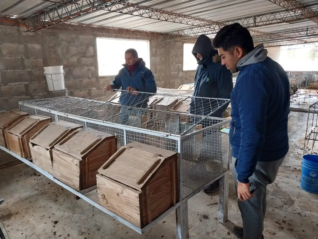 WhatsApp Image 2025-07-29 at 14.01.52 (1)