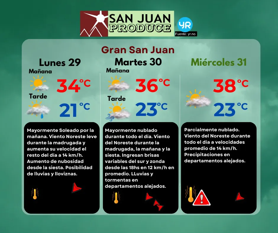 WhatsApp Image 2025-12-28 at 19.50.19