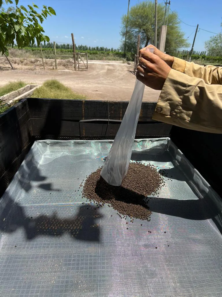 WhatsApp Image 2024-07-31 at 08.07.18