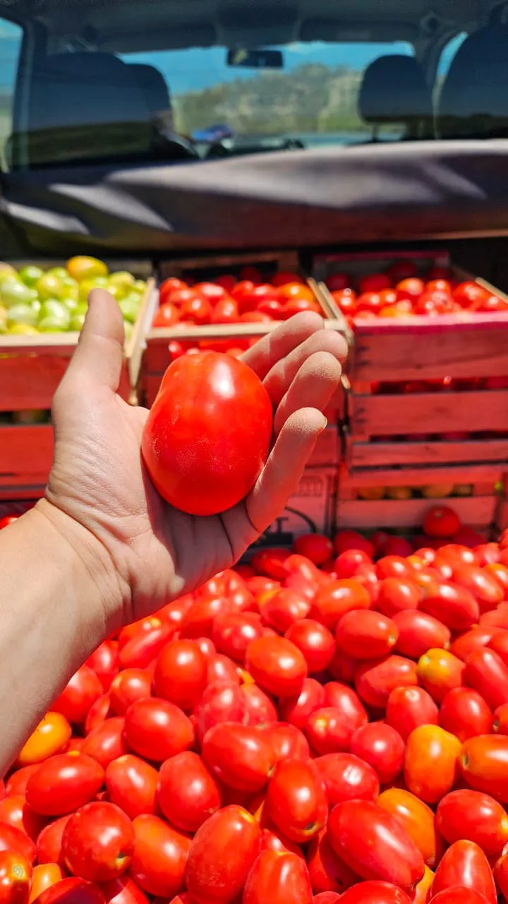 WhatsApp Image 2025-02-11 at 18.38.31