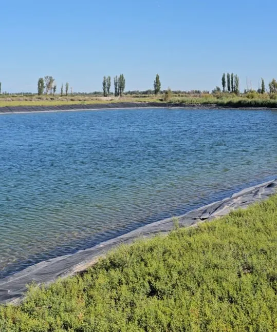 WhatsApp Image 2026-01-27 at 17.32.09