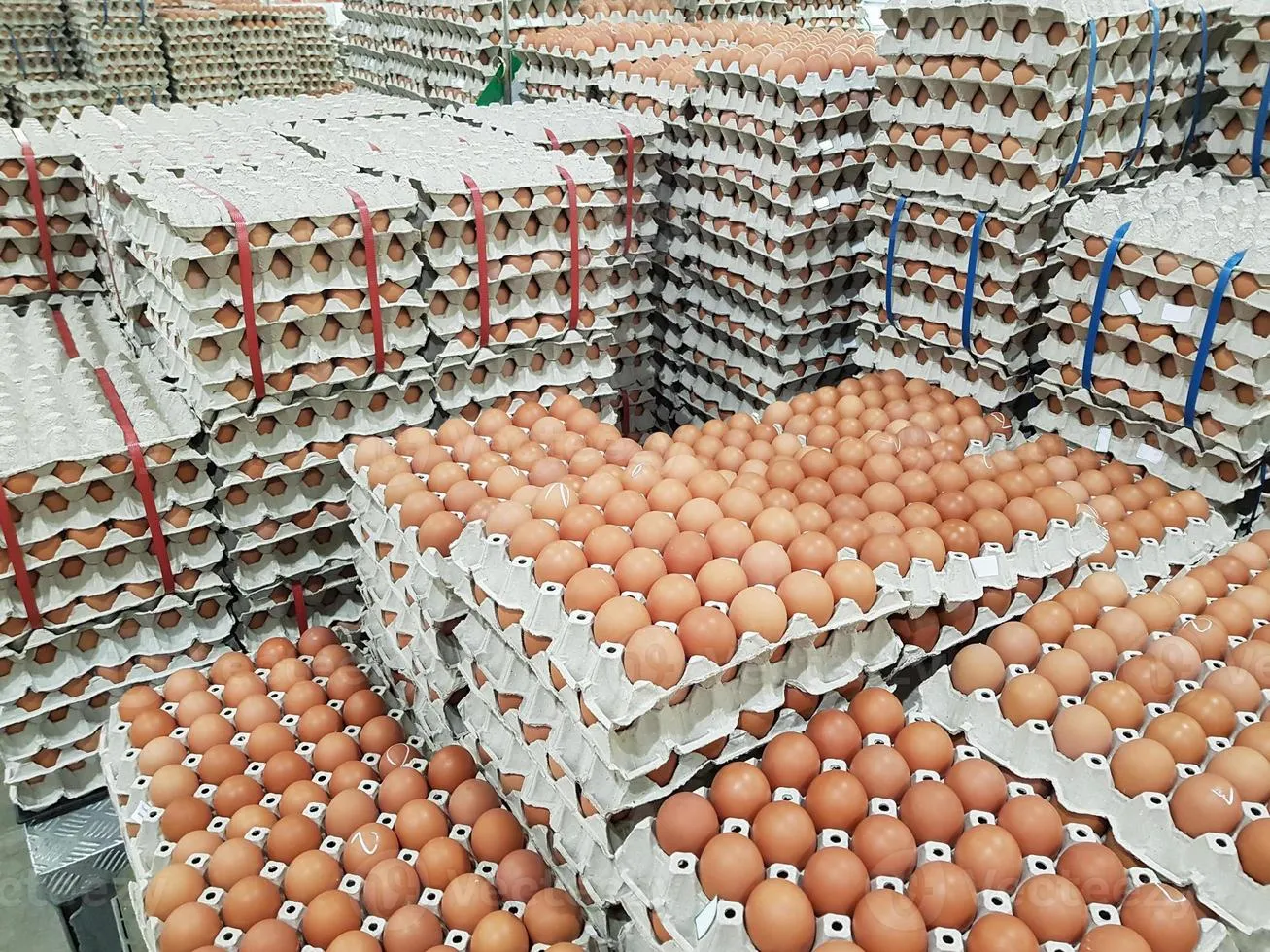 huevos2