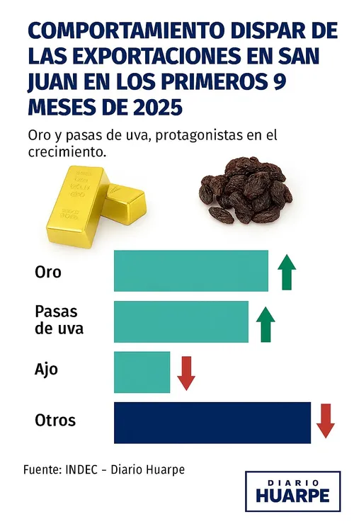 WhatsApp Image 2025-11-28 at 00.25.16