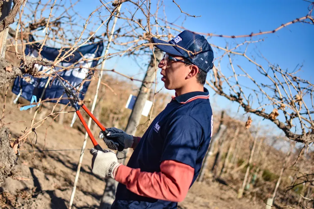 WhatsApp Image 2024-07-04 at 12.56.39 (1)