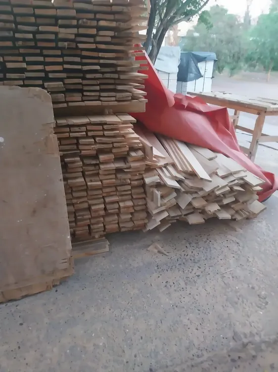 WhatsApp Image 2026-02-10 at 19.51.38