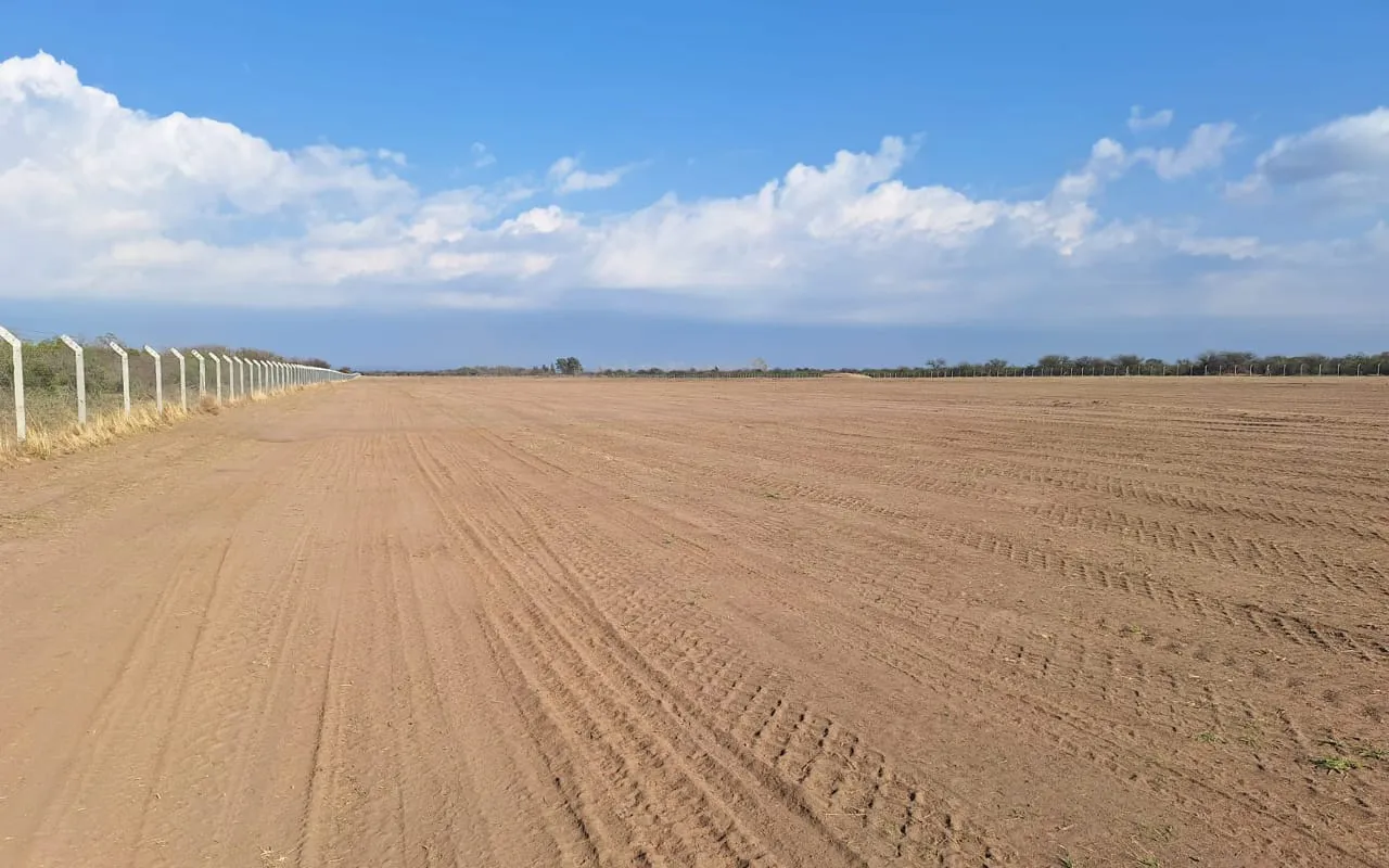 WhatsApp Image 2026-02-08 at 22.05.22