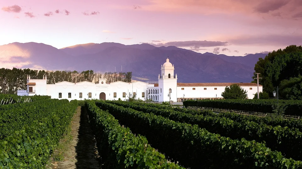 viñedos en salta