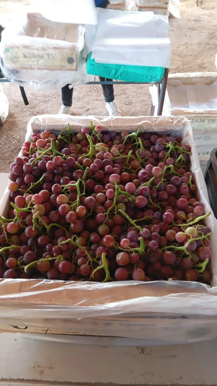 WhatsApp Image 2024-12-03 at 19.59.08