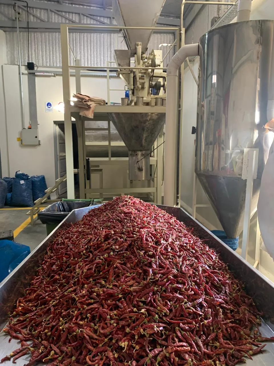 WhatsApp Image 2024-07-31 at 08.02.42