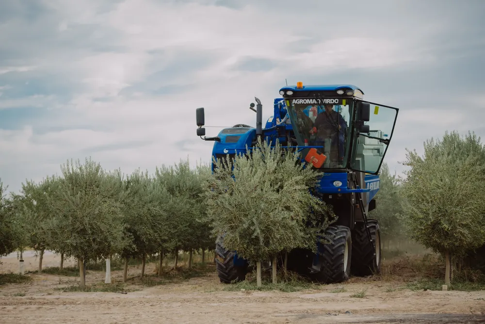 Agro  (20)
