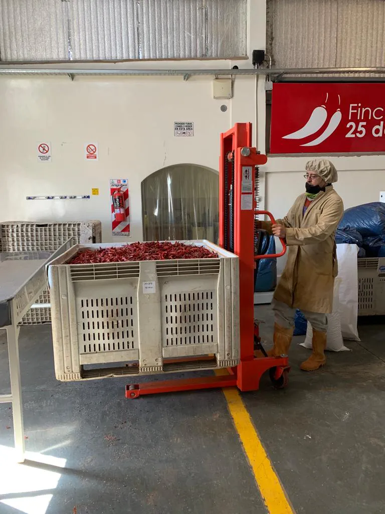 WhatsApp Image 2024-07-31 at 08.10.27