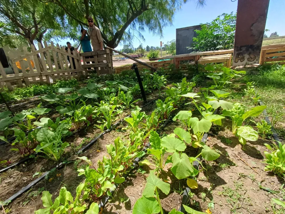 WhatsApp Image 2025-05-05 at 10.34.36