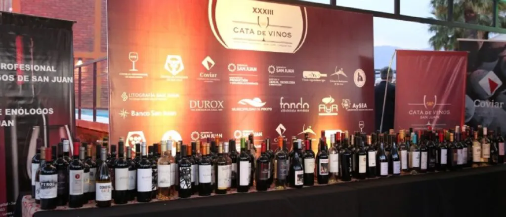 cata de vinos