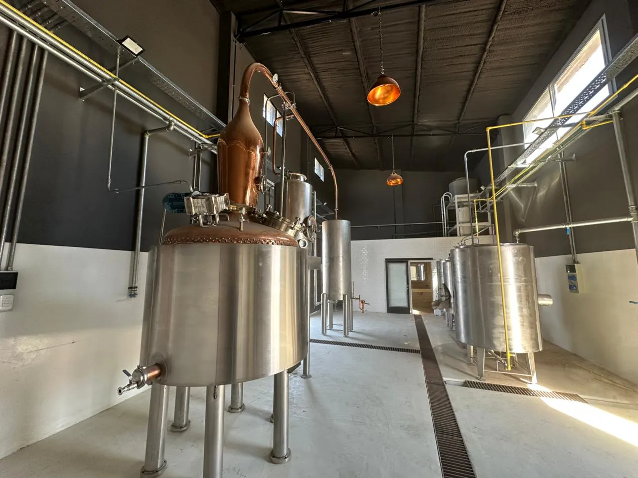 WhatsApp Image 2025-06-11 at 12.53.04