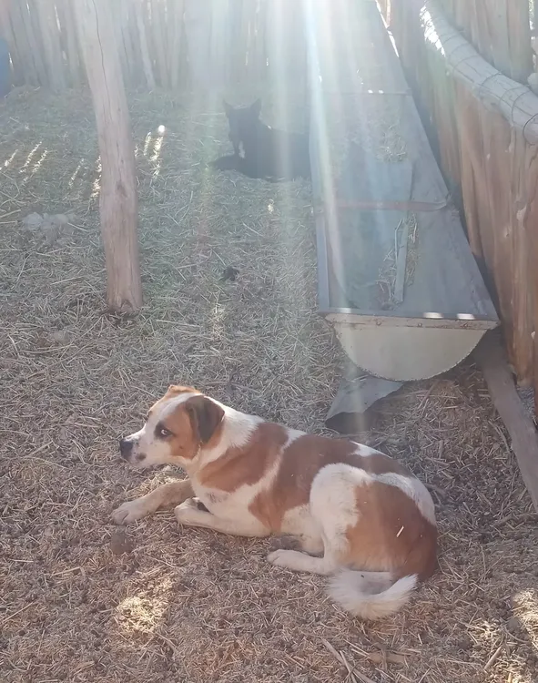 WhatsApp Image 2025-05-14 at 09.01.22