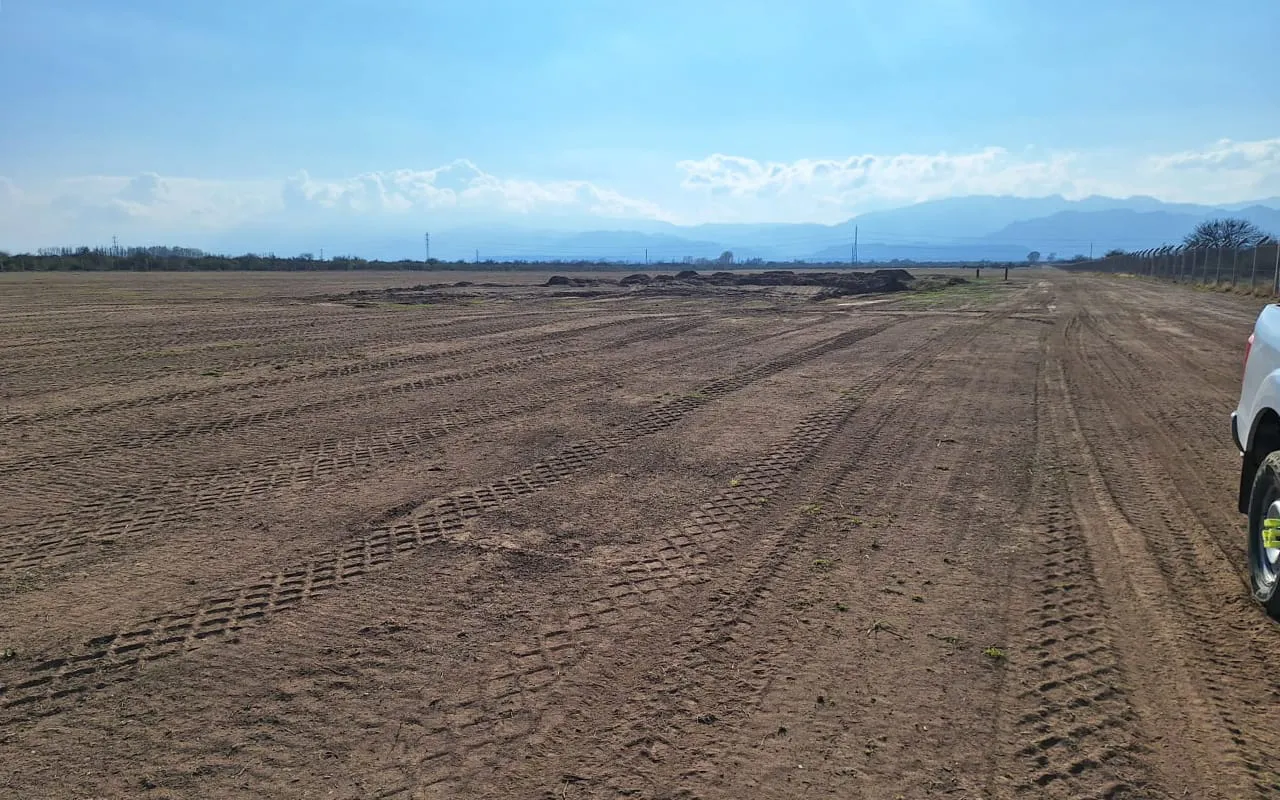 WhatsApp Image 2026-02-08 at 22.05.22