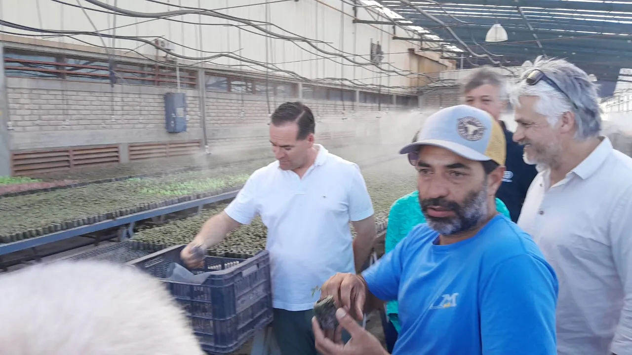 WhatsApp Image 2025-11-14 at 16.56.49